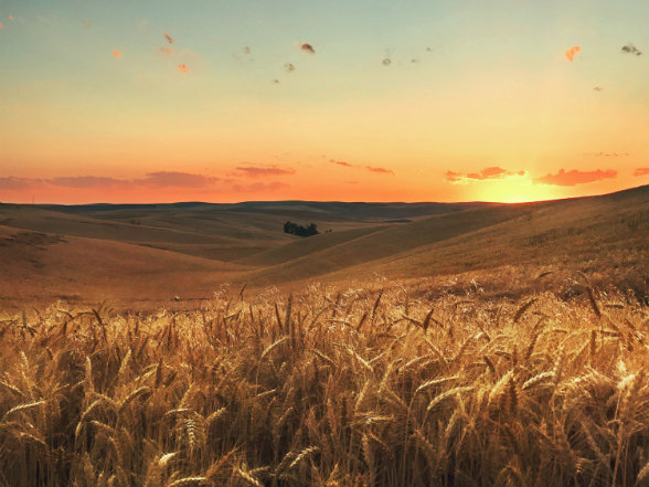 America’s Top Farmland Owner